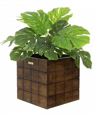 Monstera Moran Duo cachepot Dekollete Chess 20 color