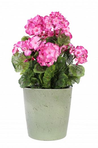 Geranium Rizado cachepot Dekollete Concrete 17