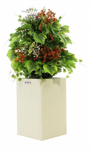 Weigela Charm Vane cachepot Dekollete Rattan Cube 50