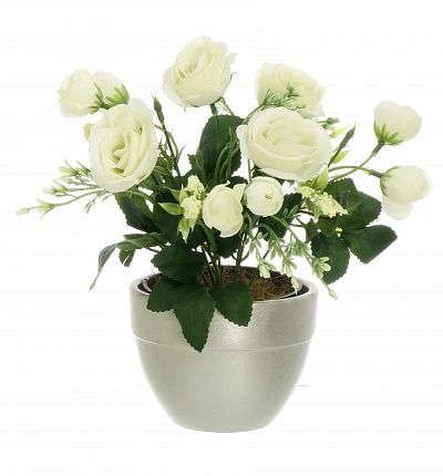 Rose Retro Planter Dekollete 12