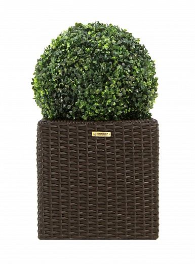 Orb Boxwood Camos in Dekollete Rattan Cube 32