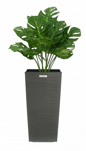 Monstera Tagira Dos cachepot Dekollete Cuno 46 Eco