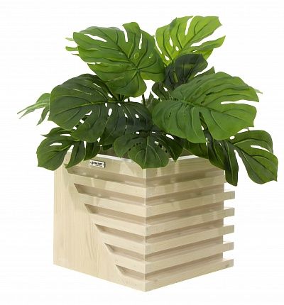 Monstera Moran Duo cachepot Dekollete Stream