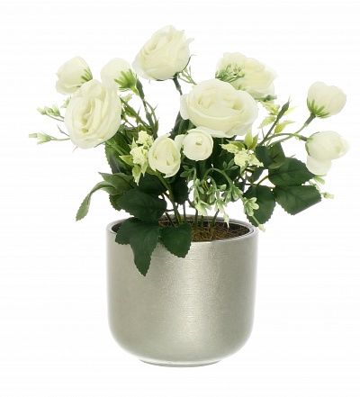 Rose Retro Planter Dekollete 12