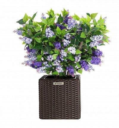 Lilac Chester mini cachepot Dekollete Rattan Cube 32