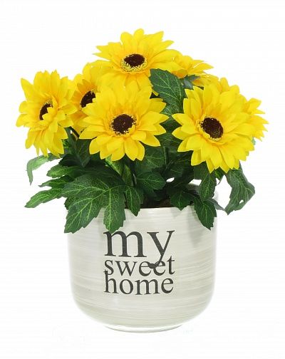 Gerbera Laura cachepot Dekollete 12 available to order 6 pieces