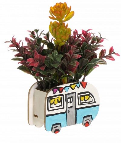 Children's Bus succulent mix available to order 5 pieces