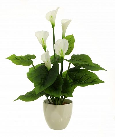 Calla Fevron cachepot