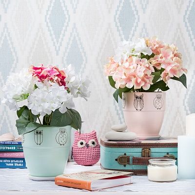 Hydrangea Rosabello Set of two pieces Cachepot Dekollete Owls