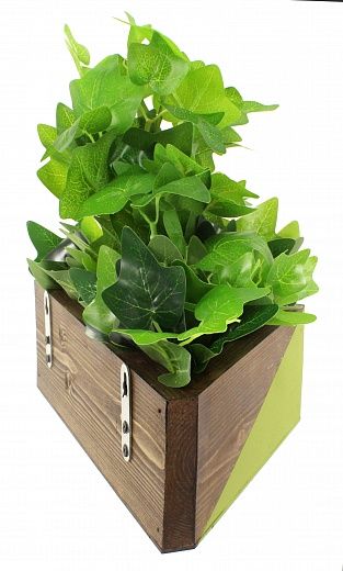 Hedera Collet Cachepot Dekollete Envelope