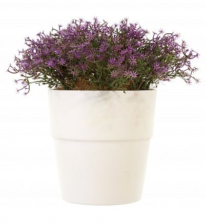 Moss Violet cachepot Dekollete Bort mini