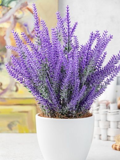 Lavender Sirt Cachepot Dekollete 12