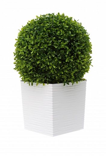 Boxwood Wende mini cachepot Dekollete Clasico Cube 19