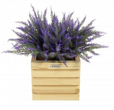 Lavender Sirt cachepot Dekollete Bandas 20