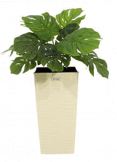 Monstera Moran Duo Cachepot Dekollete Kuno 46 Eco