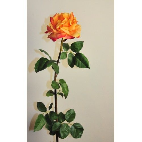 Rose H142 cm orange