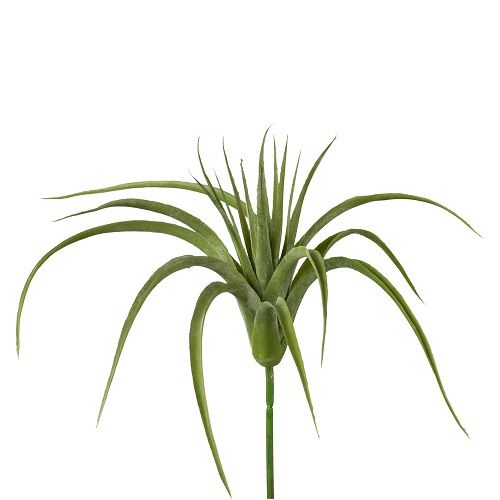 Tillandsia H27 cm green