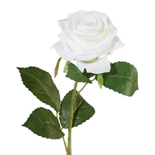 Rose H53 cm white