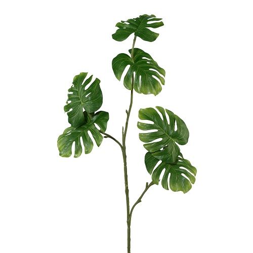 Monstera branch H80 cm green