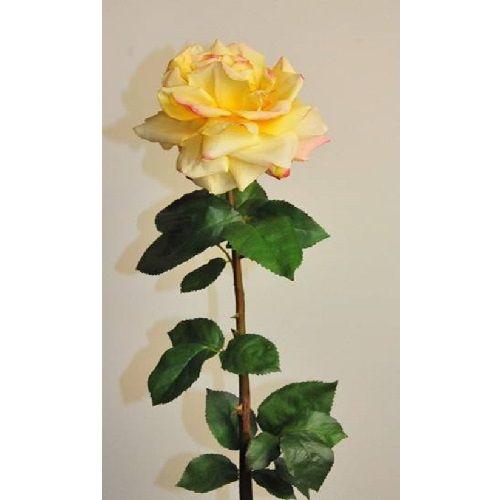 Rose H142 cm yellow