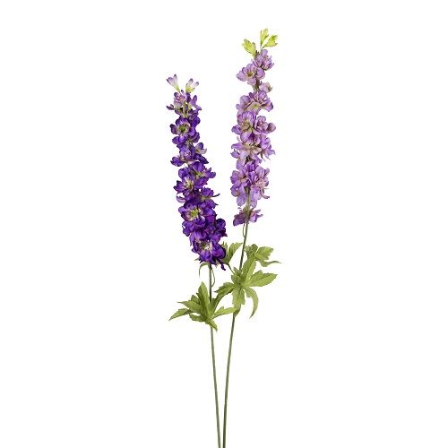 Delphinium H89 cm purple