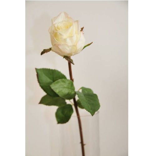 Rose H52 cm white