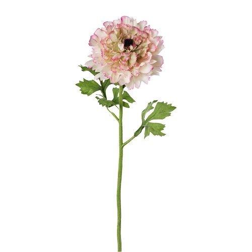 Ranunculus H46 cm pink