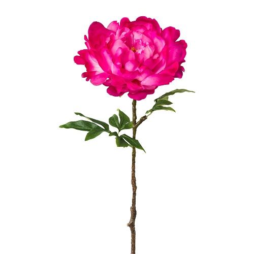 Peony H66 cm bright pink