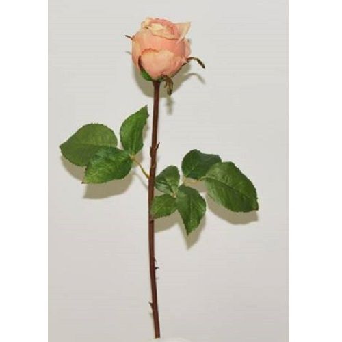 Rose H52 cm peach