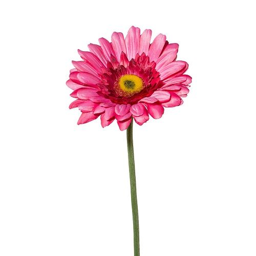 Gerbera H63 cm dark pink