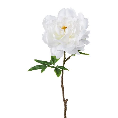 Peony H66 cm white