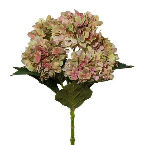 Hydrangea H63 cm green-pink