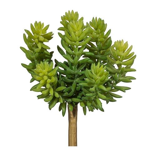 Sedum H18 cm green